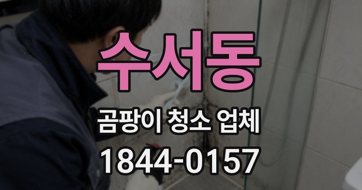 수서동 곰팡이 청소 업체