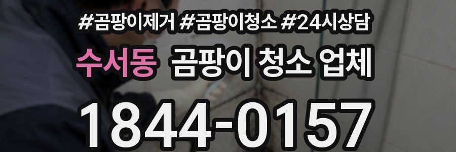 수서동 곰팡이 청소 업체