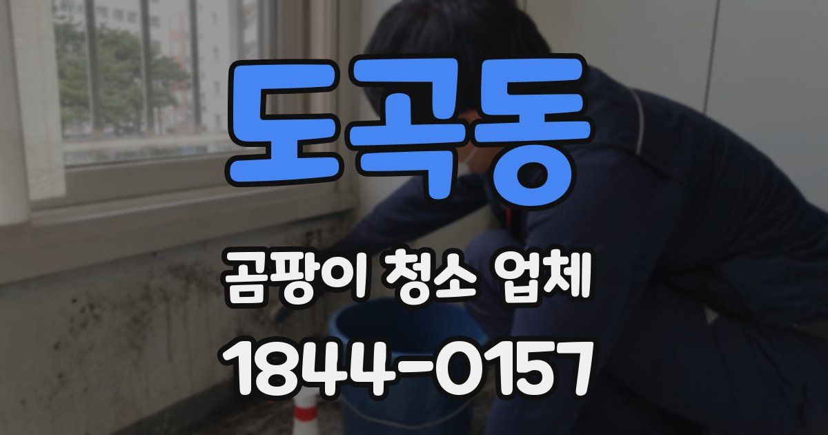도곡동 곰팡이 청소 업체