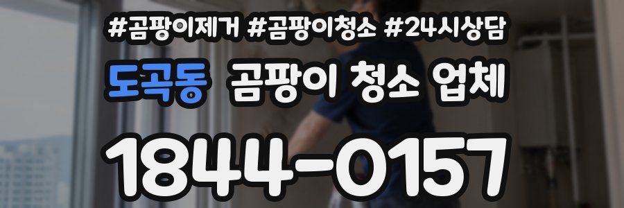 도곡동 곰팡이 청소 업체