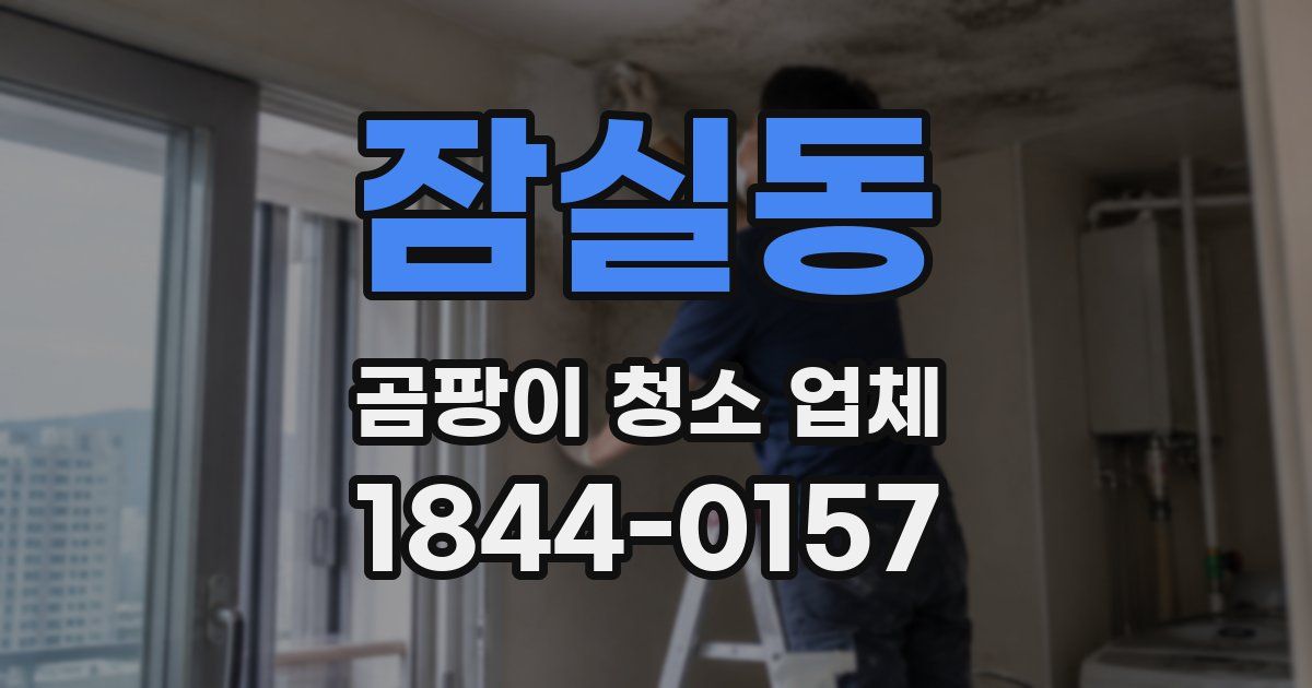 잠실동 곰팡이 청소 업체