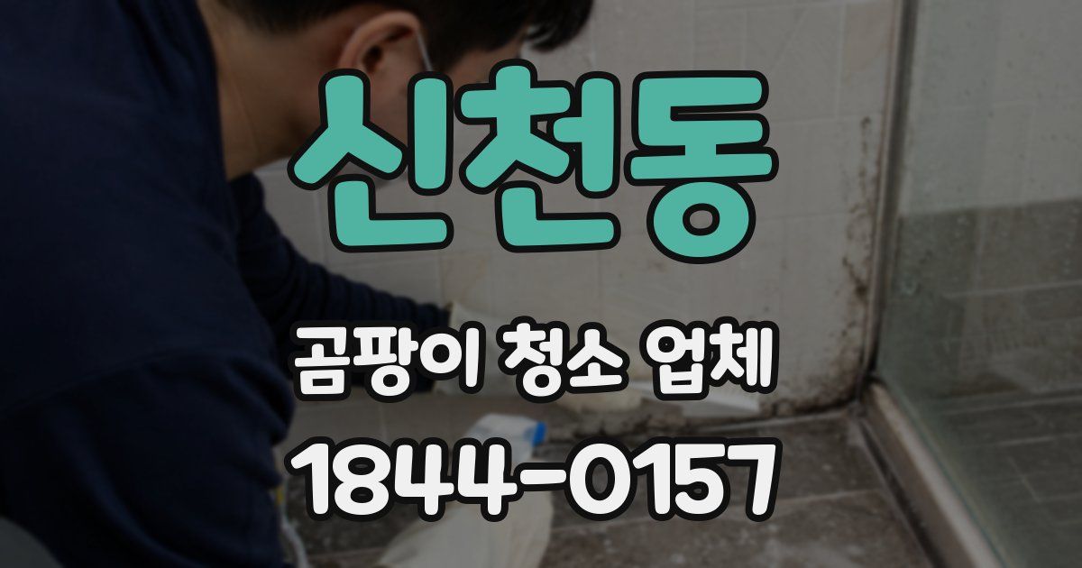 신천동 곰팡이 청소 업체