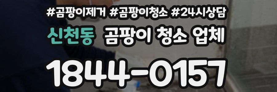 신천동 곰팡이 청소 업체