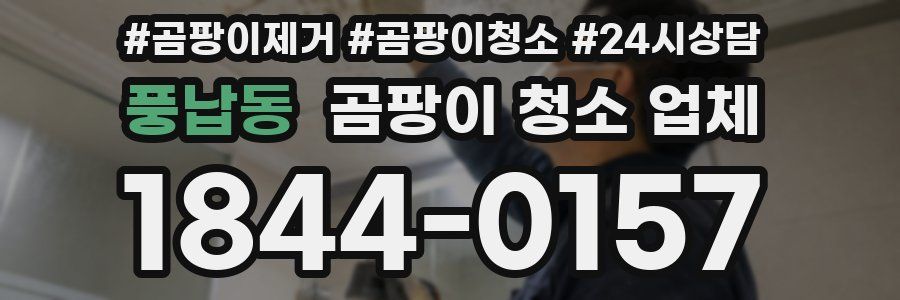 풍납동 곰팡이 청소 업체