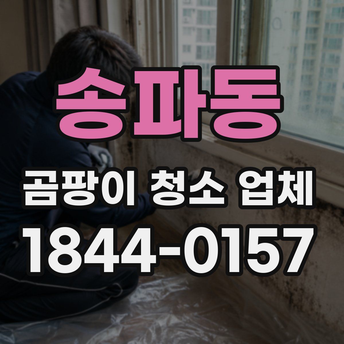송파동 곰팡이 청소 업체