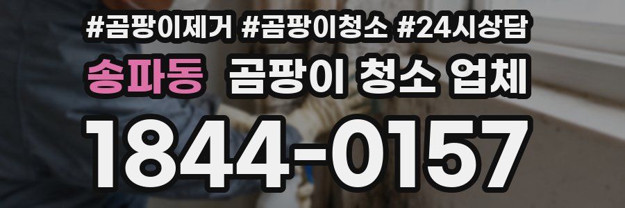 송파동 곰팡이 청소 업체