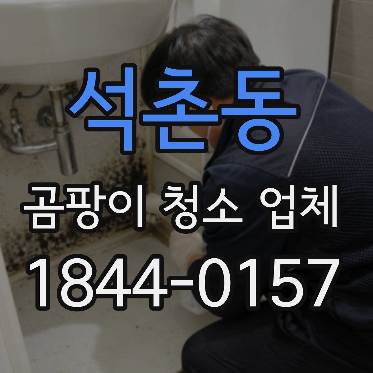 석촌동 곰팡이 청소 업체
