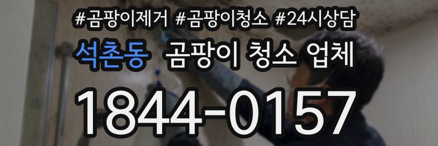 석촌동 곰팡이 청소 업체