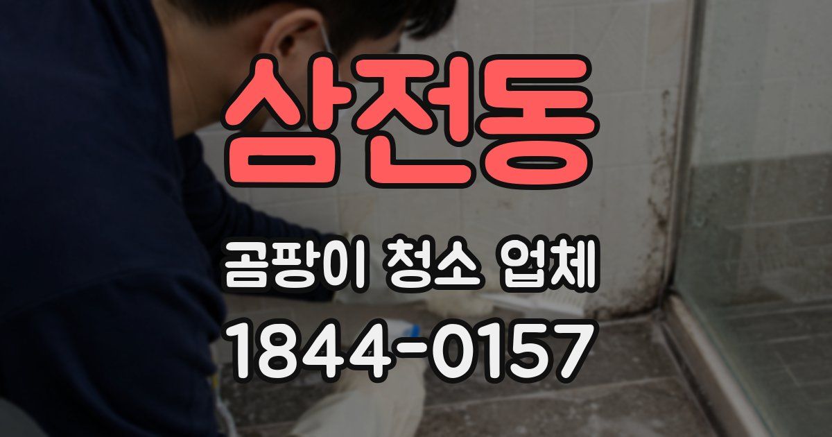삼전동 곰팡이 청소 업체