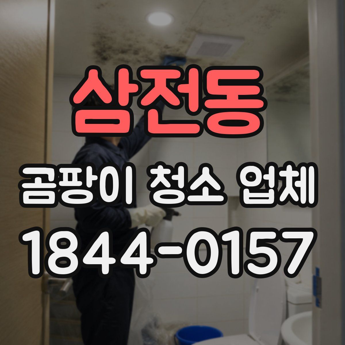 삼전동 곰팡이 청소 업체
