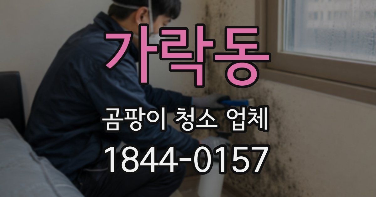 가락동 곰팡이 청소 업체