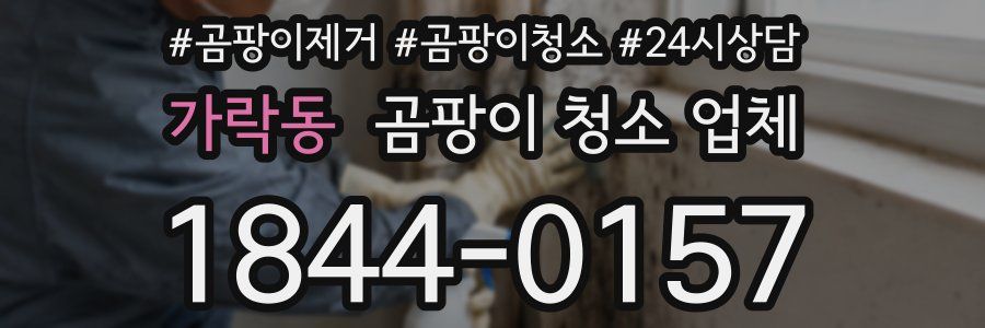 가락동 곰팡이 청소 업체