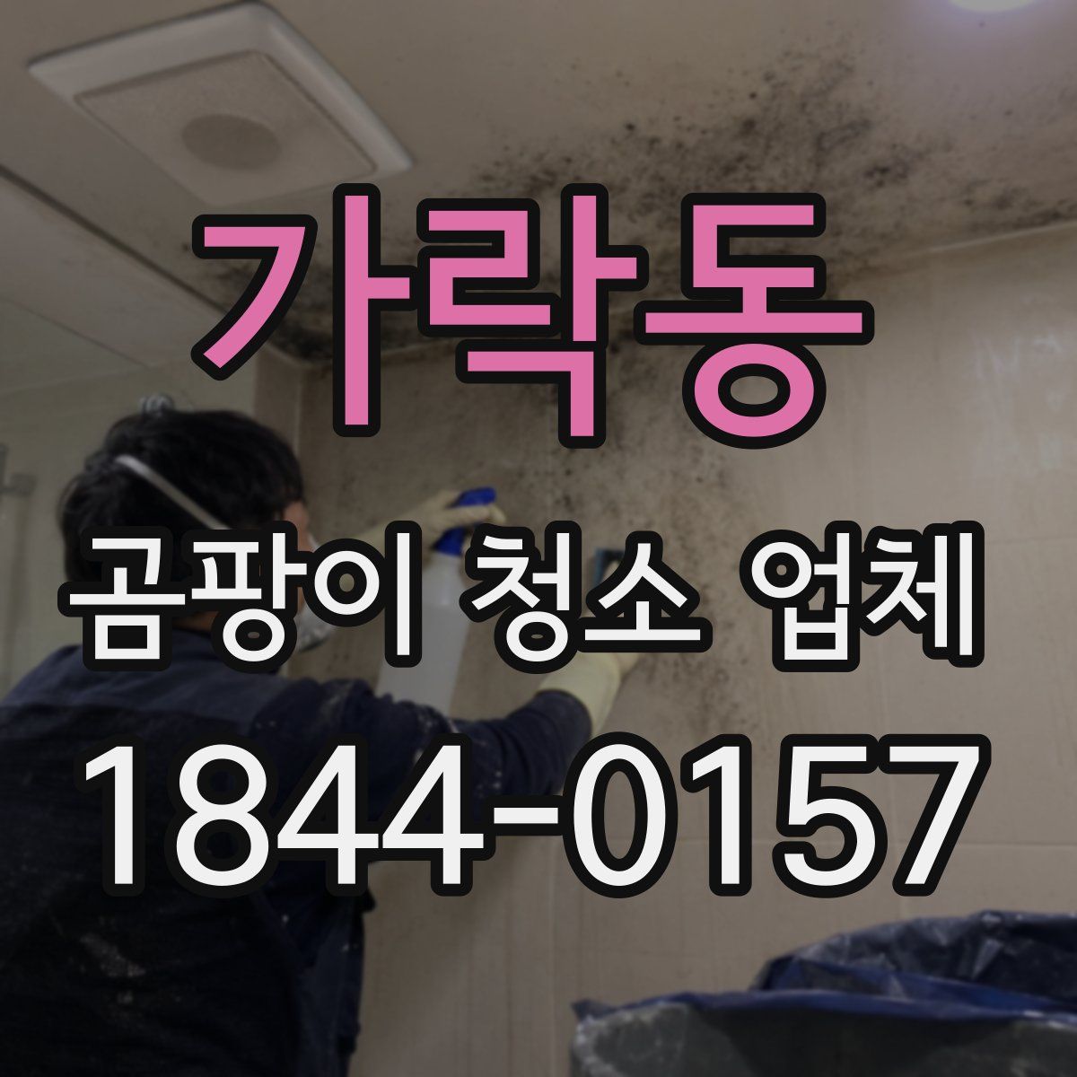 가락동 곰팡이 청소 업체