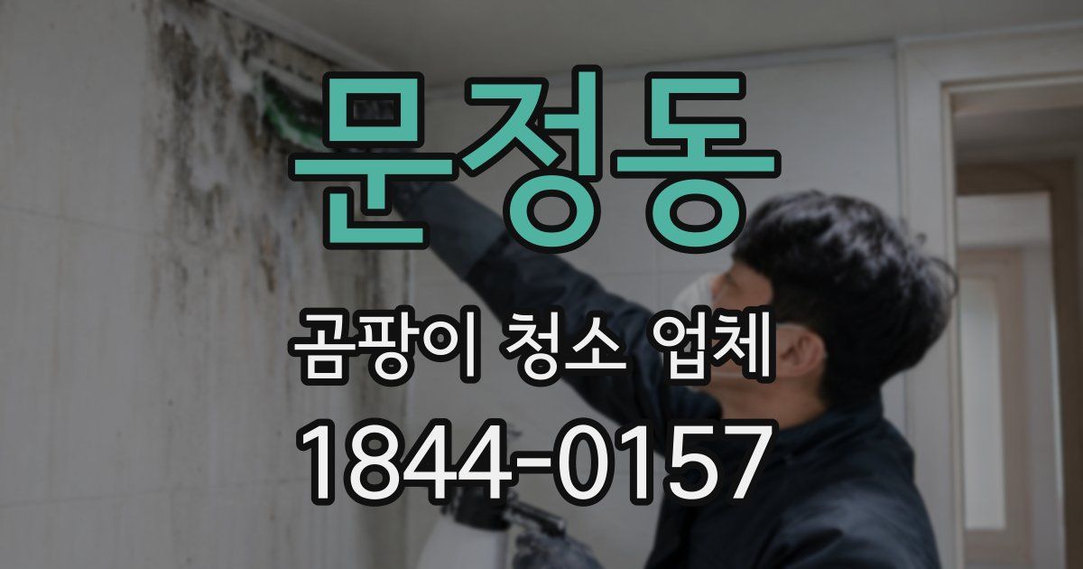 문정동 곰팡이 청소 업체
