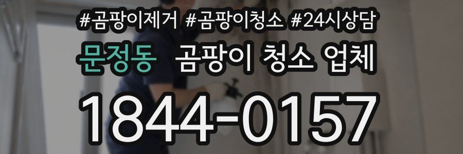 문정동 곰팡이 청소 업체
