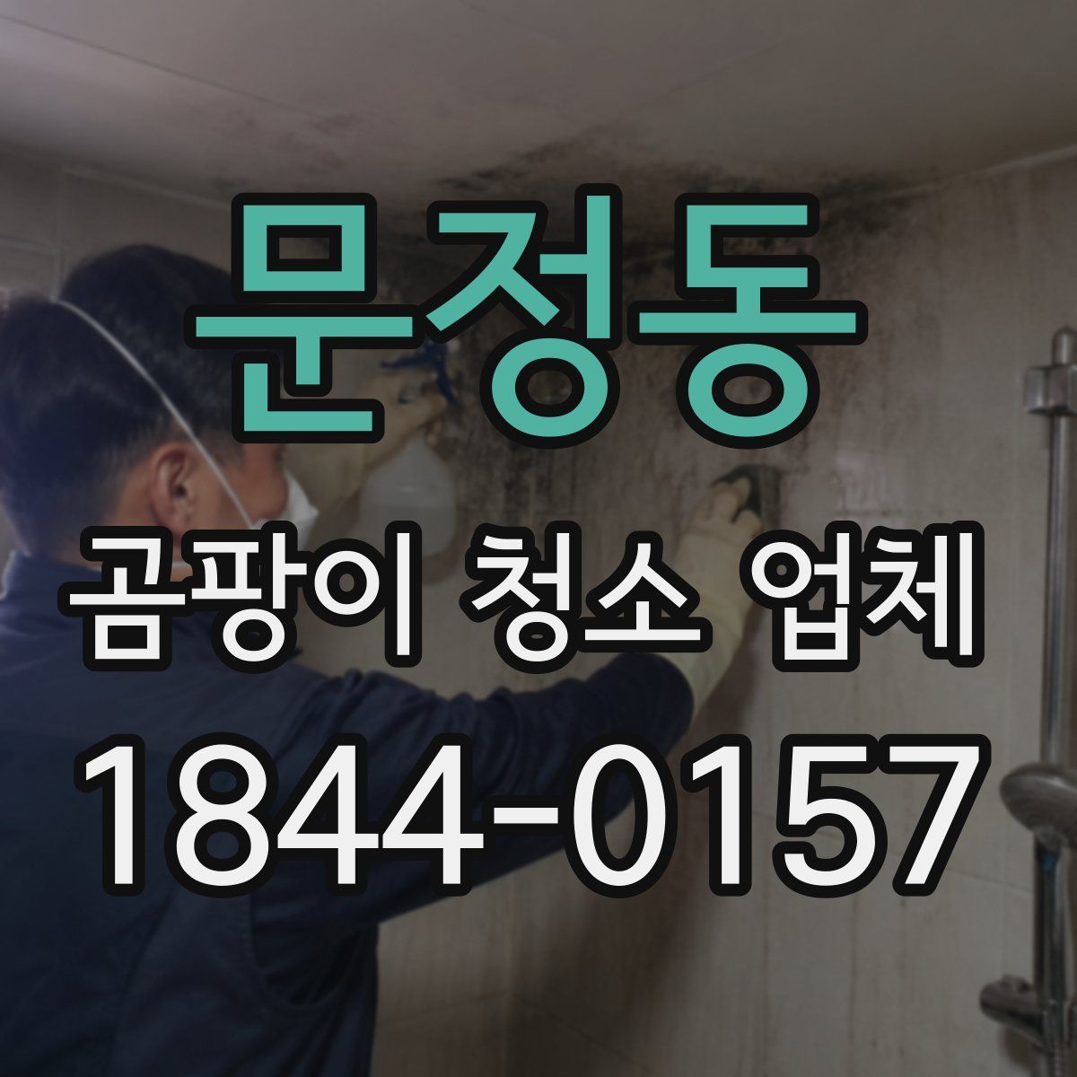문정동 곰팡이 청소 업체