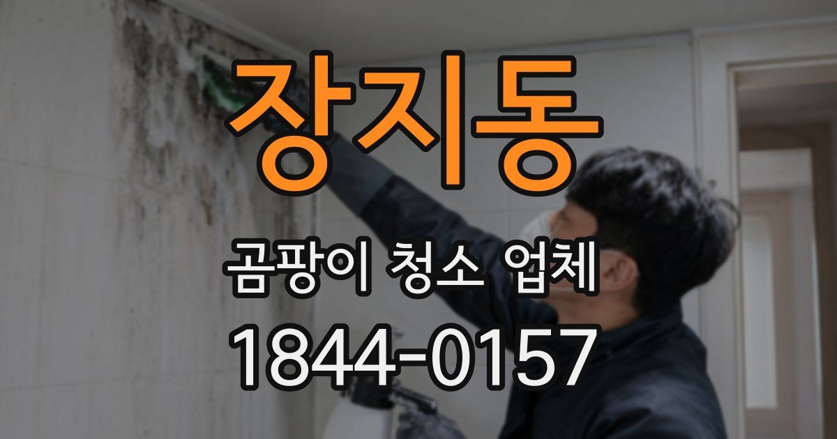 장지동 곰팡이 청소 업체