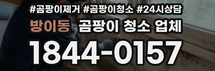 방이동 곰팡이 청소 업체