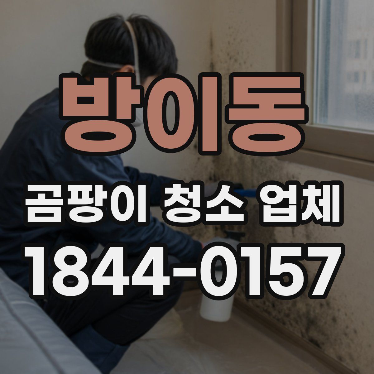 방이동 곰팡이 청소 업체