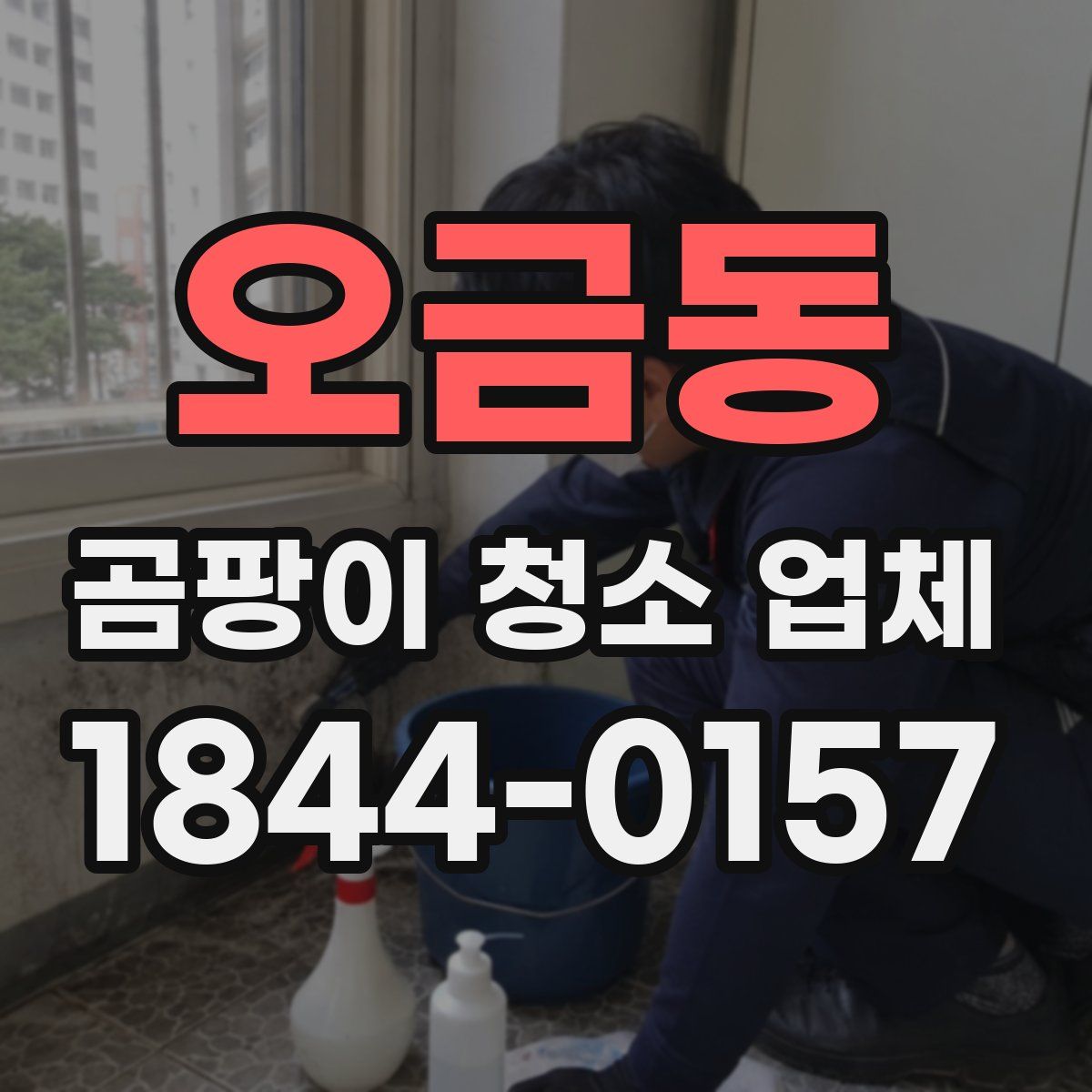 오금동 곰팡이 청소 업체