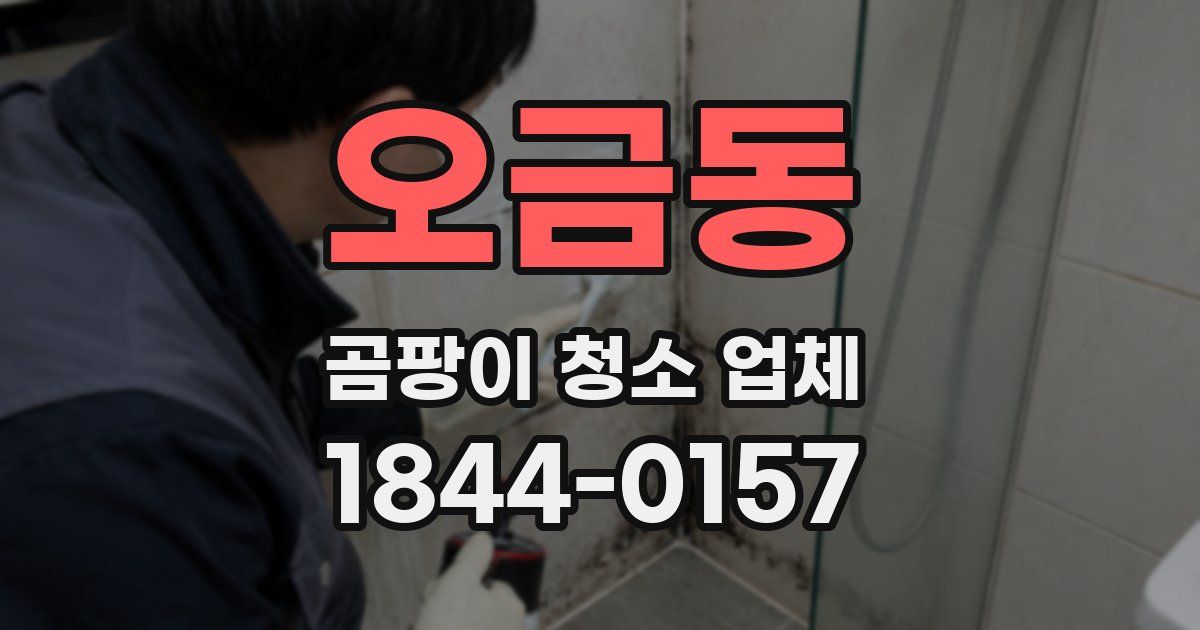 오금동 곰팡이 청소 업체