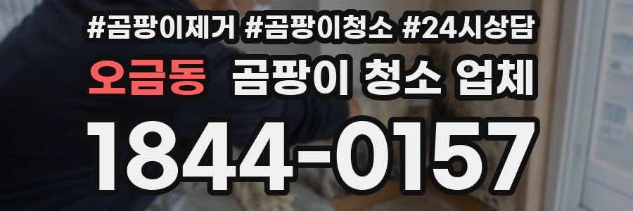 오금동 곰팡이 청소 업체