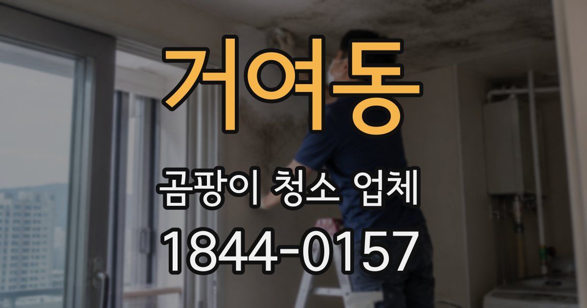 거여동 곰팡이 청소 업체