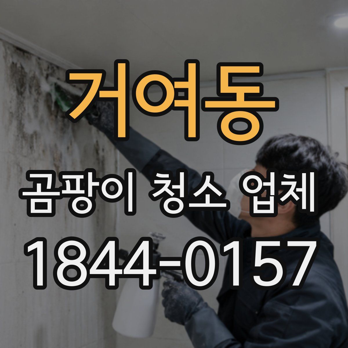 거여동 곰팡이 청소 업체