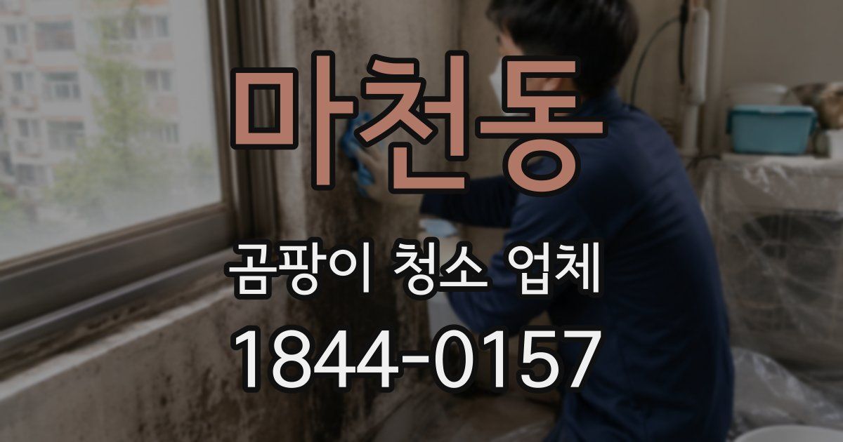 마천동 곰팡이 청소 업체