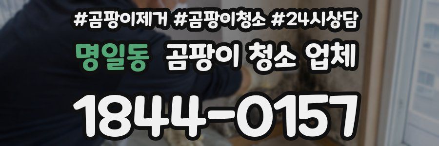 명일동 곰팡이 청소 업체