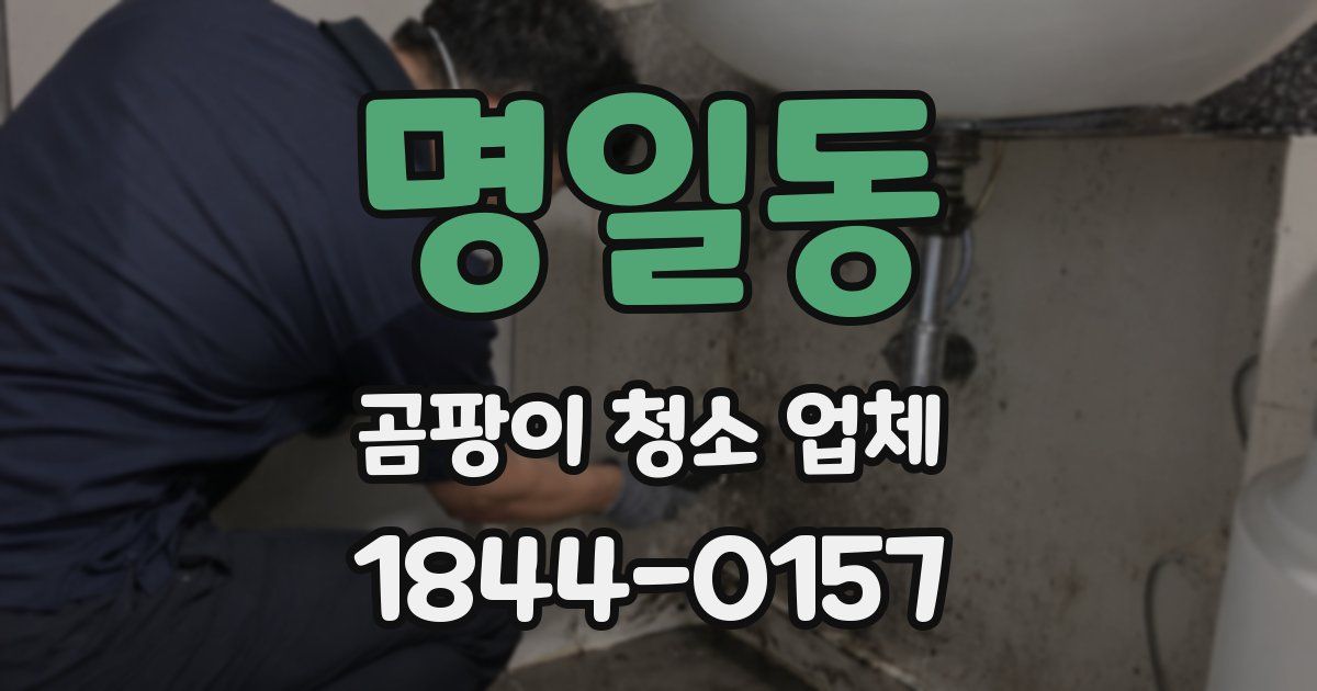 명일동 곰팡이 청소 업체