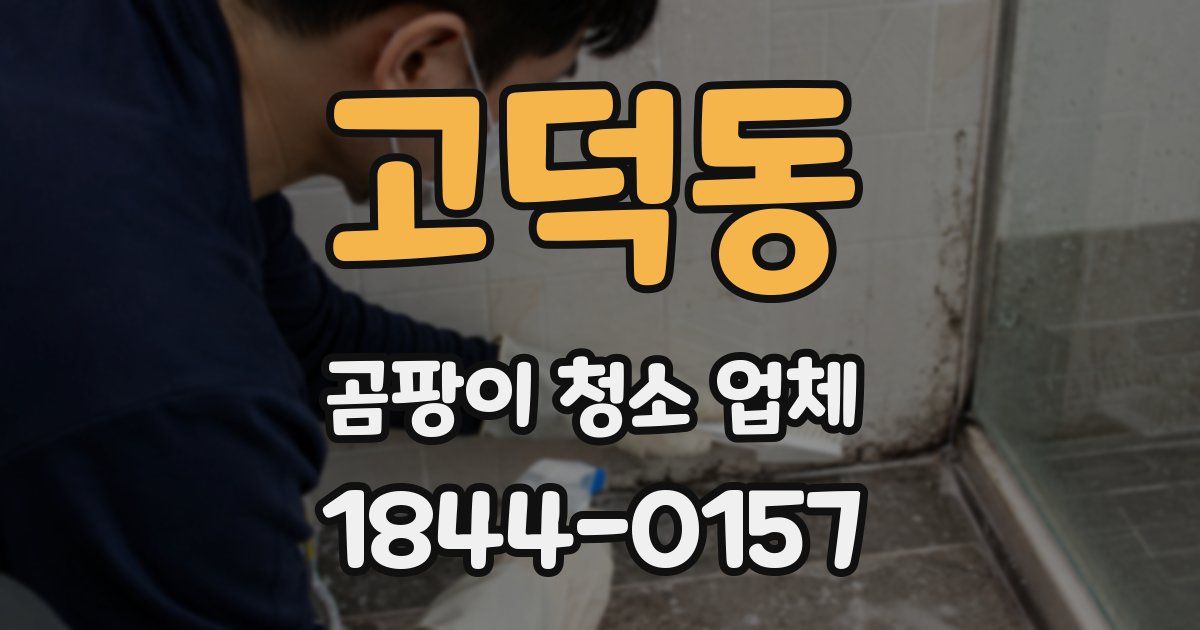 고덕동 곰팡이 청소 업체