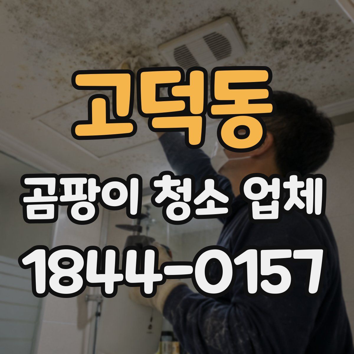 고덕동 곰팡이 청소 업체