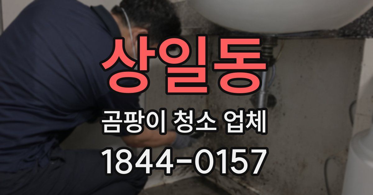 상일동 곰팡이 청소 업체