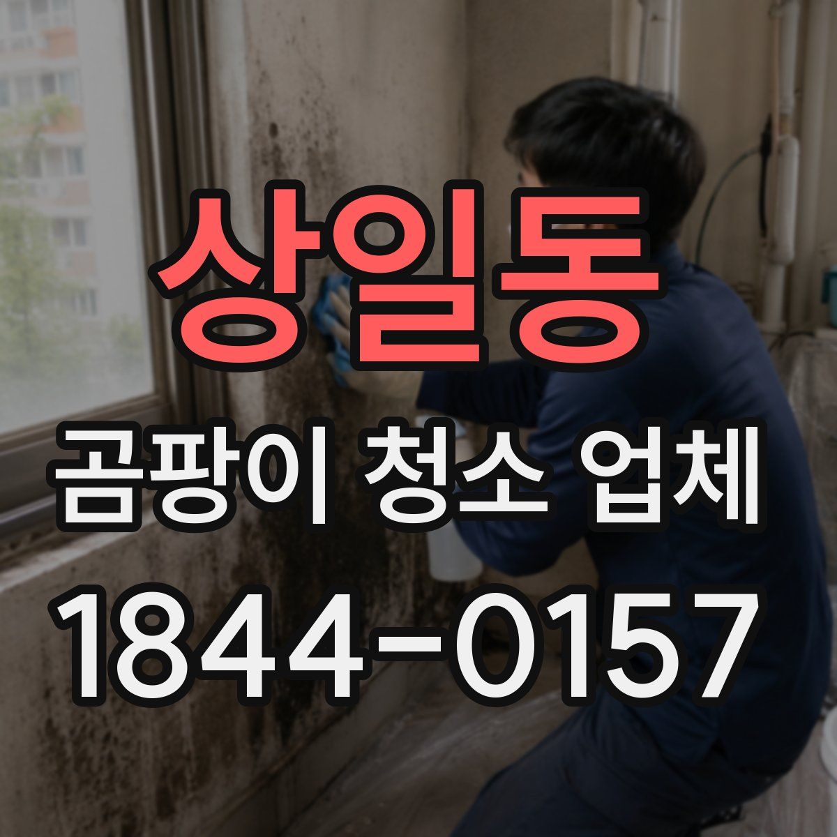상일동 곰팡이 청소 업체