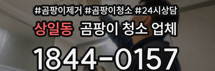 상일동 곰팡이 청소 업체