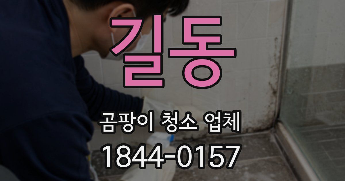길동 곰팡이 청소 업체