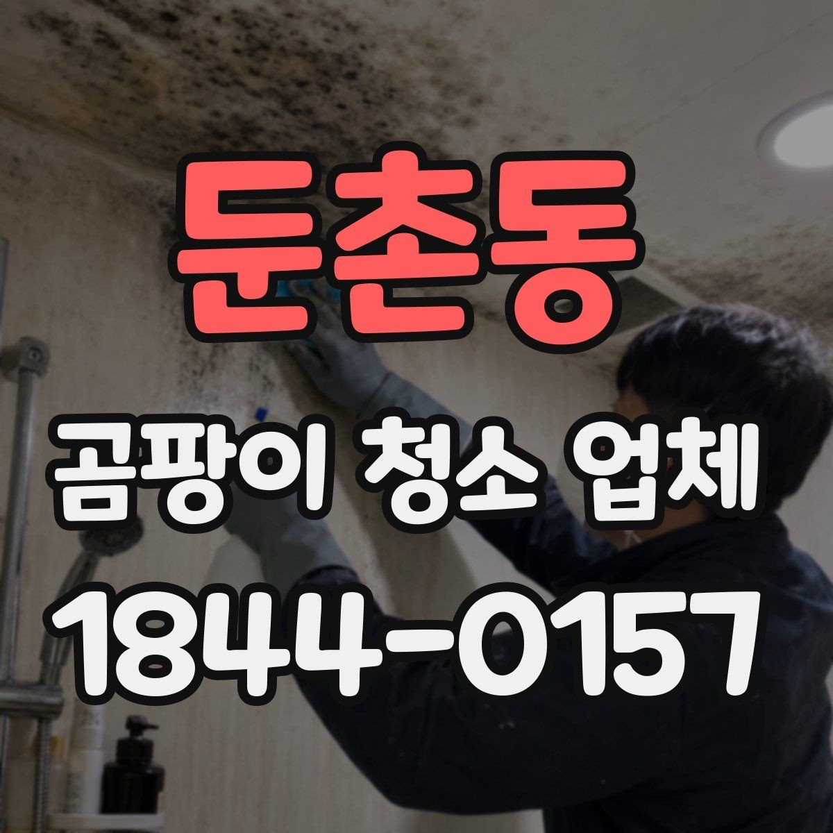 둔촌동 곰팡이 청소 업체 냄새 원인을 결로와 곰팡이로 구분하는 법