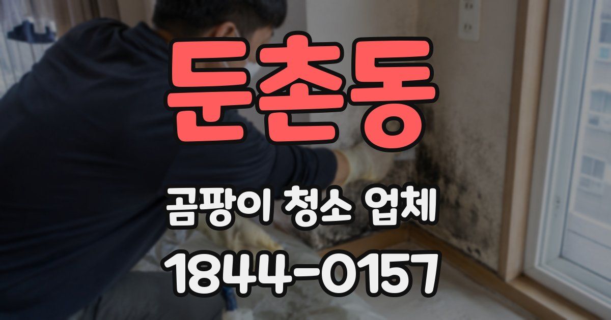 둔촌동 곰팡이 청소 업체