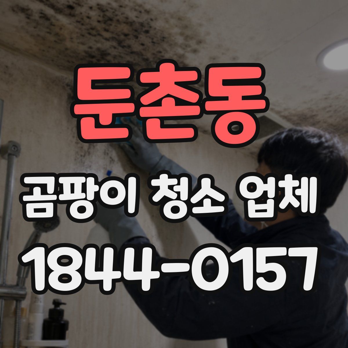 둔촌동 곰팡이 청소 업체