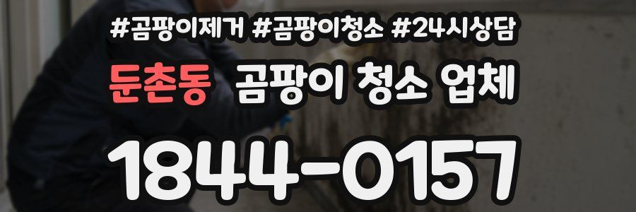 둔촌동 곰팡이 청소 업체
