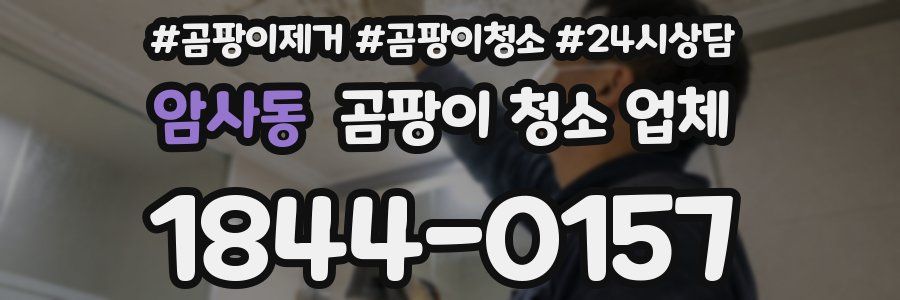 암사동 곰팡이 청소 업체