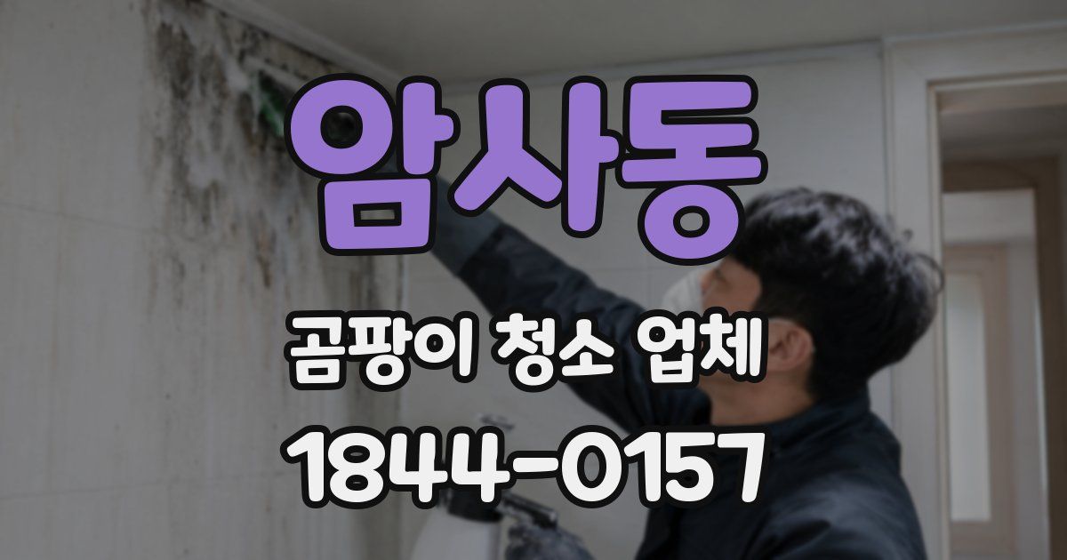 암사동 곰팡이 청소 업체