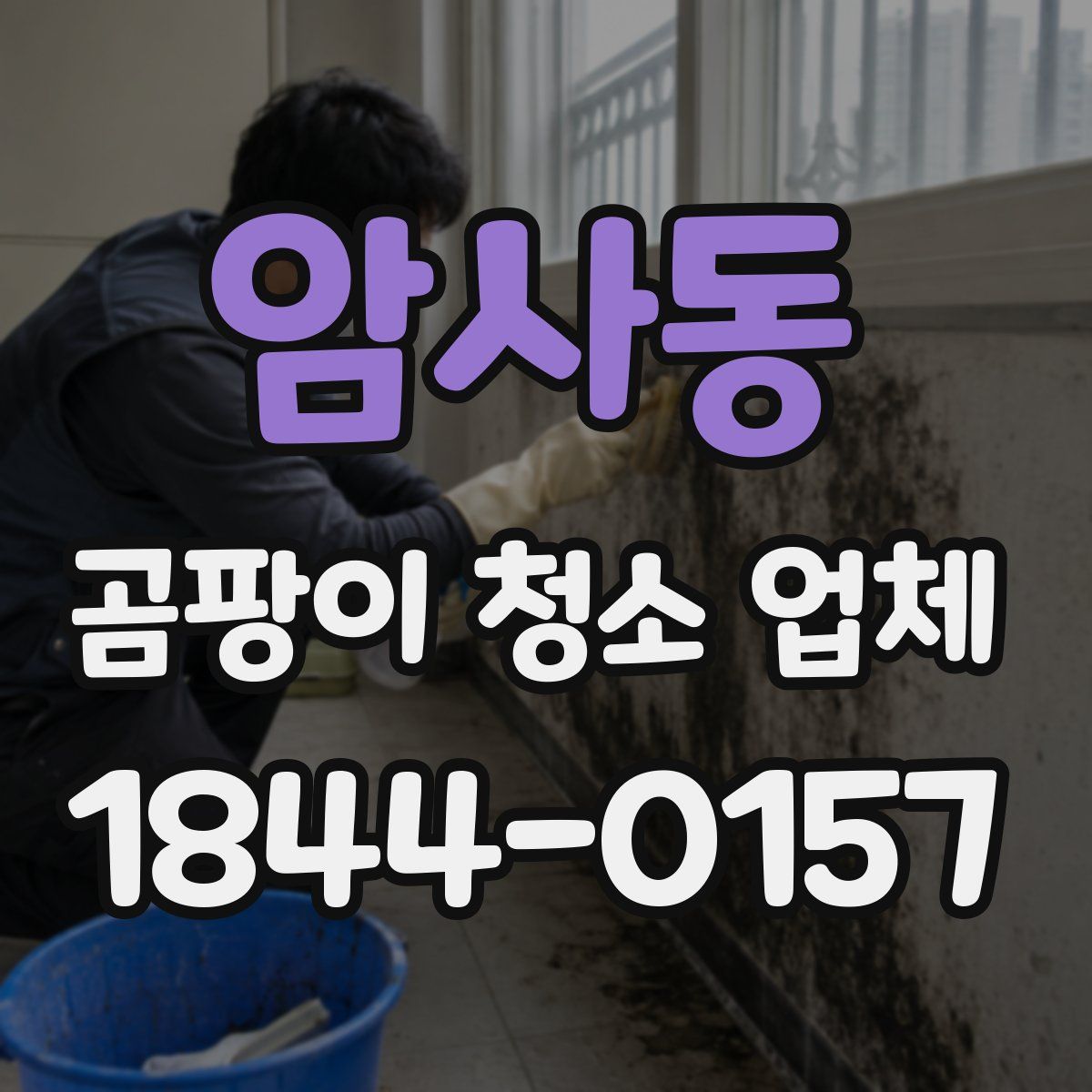 암사동 곰팡이 청소 업체