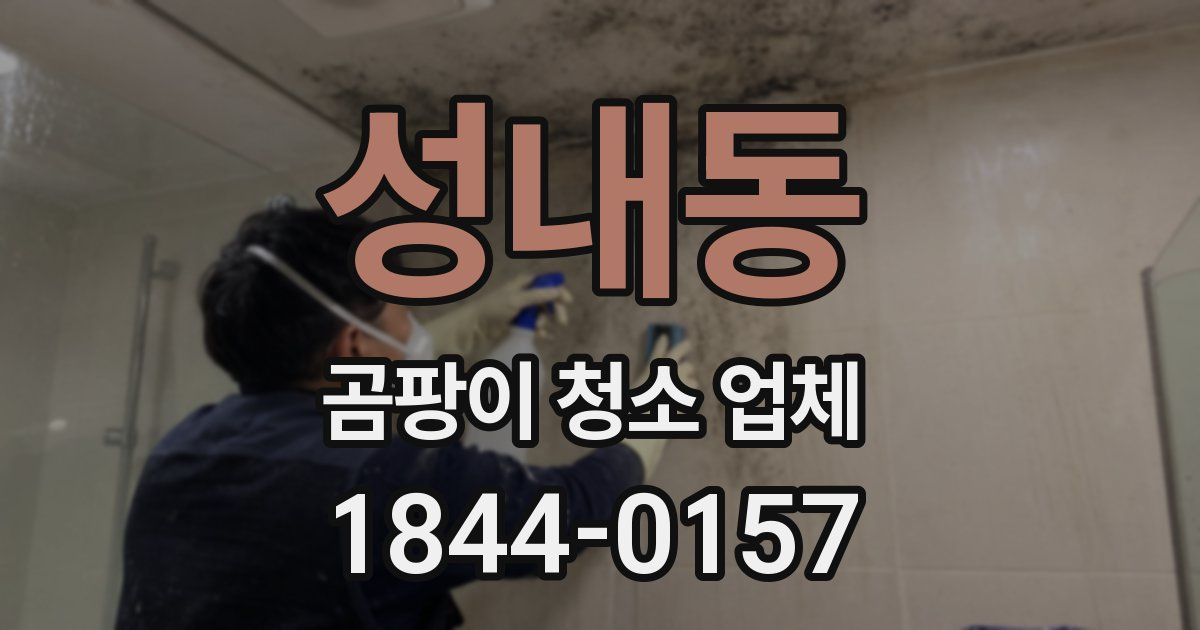 성내동 곰팡이 청소 업체