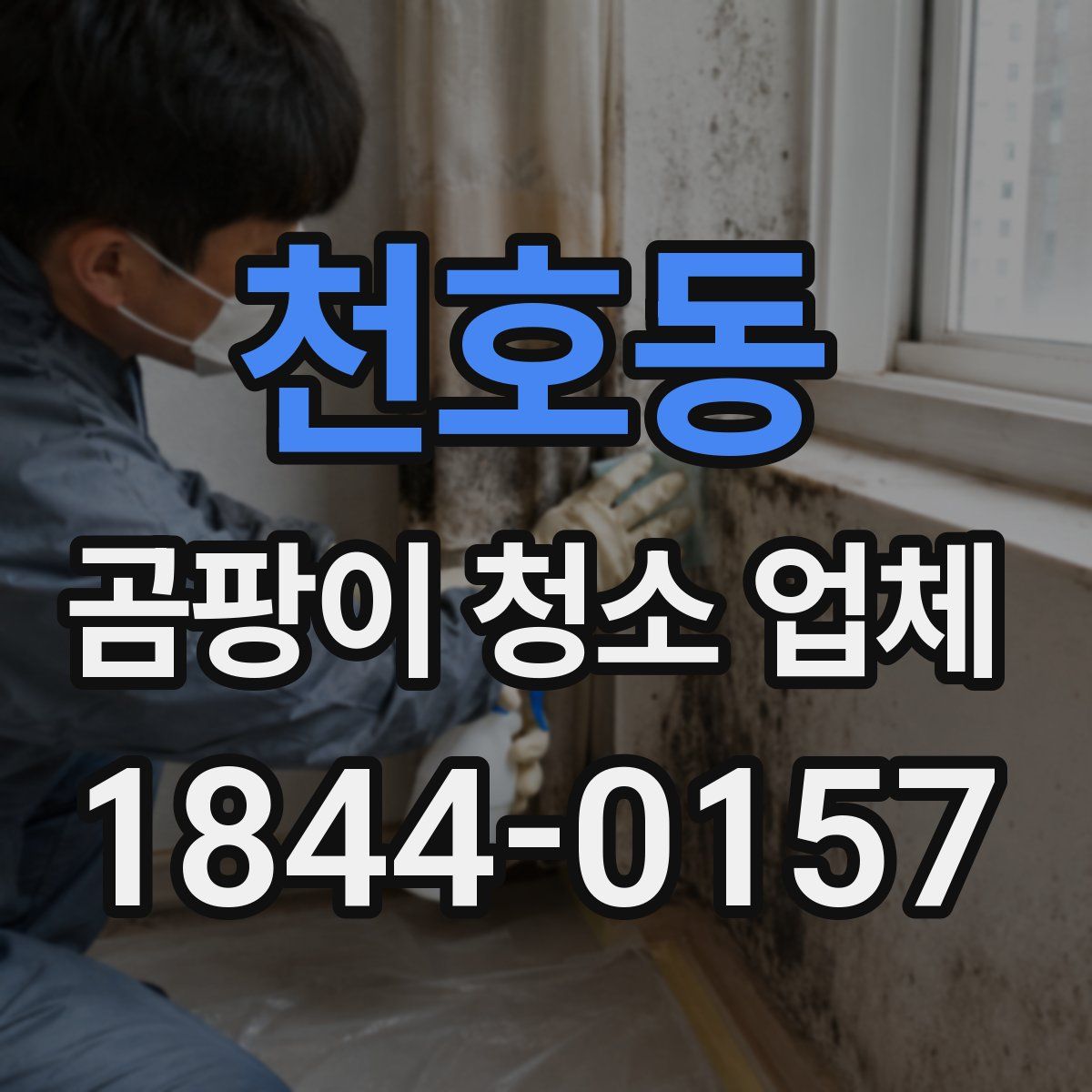 천호동 곰팡이 청소 업체