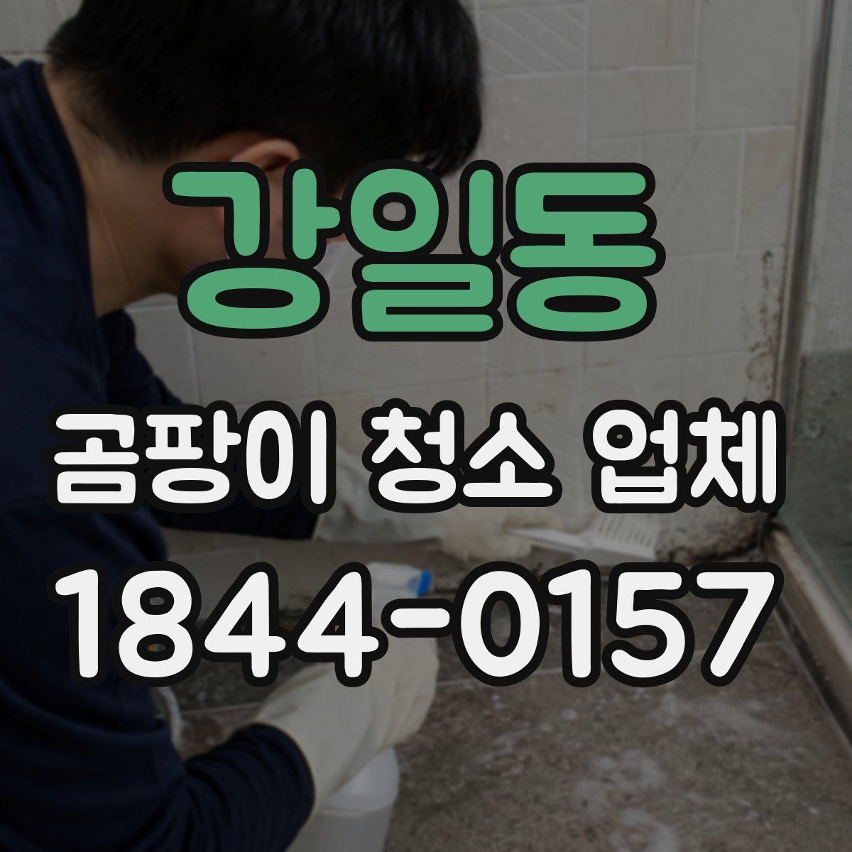 강일동 곰팡이 청소 업체