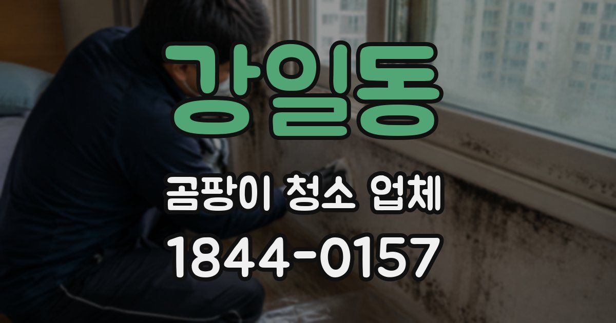 강일동 곰팡이 청소 업체