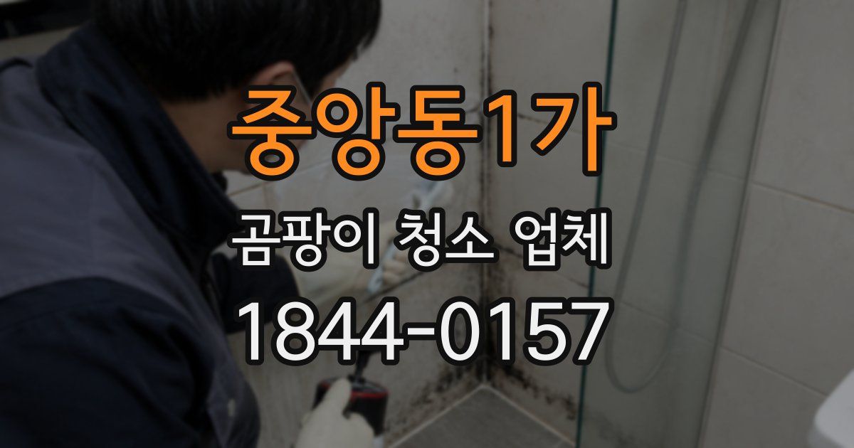 중앙동1가 곰팡이 청소 업체
