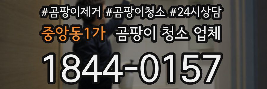 중앙동1가 곰팡이 청소 업체